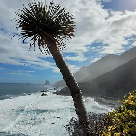 Apartment Picasso 2 Paraiso Playa Relax-Surf-Trail-Photo Santa Cruz de Tenerife