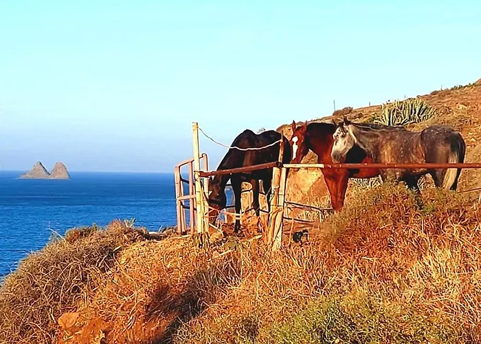 Terrazas De Anaga Natural House Апартаменты Санта-Крус-де-Тенерифе